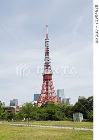 東京タワーと芝公園 31904689