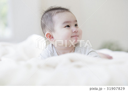 日本人赤ちゃん 31907829