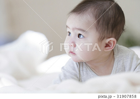 日本人赤ちゃん 31907858