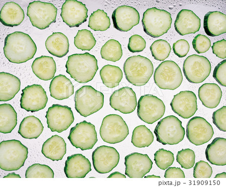 多数 断面 キュウリ 31909150