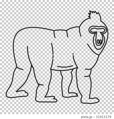 Monkey icon, outline style 31913179