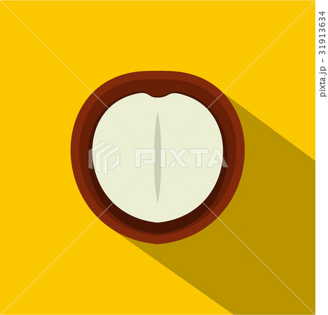 Macadamia nut icon, flat style 31913634