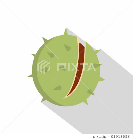 Chestnut icon, flat style 31913638