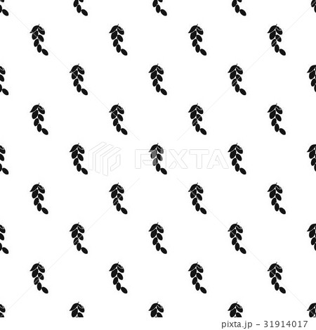 Branch of cornel or dogwood berries pattern vector Branch of cornel or dogwood berries pattern vector 31914017