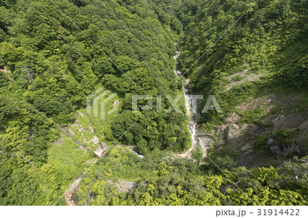 初夏の城ヶ倉渓流 初夏の城ヶ倉渓流 31914422