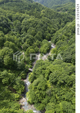 初夏の城ヶ倉渓流 初夏の城ヶ倉渓流 31914424
