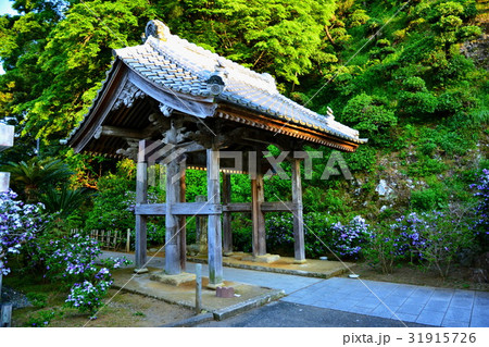 伊豆 了仙寺 山門 ( ジャスミン寺 ) 静岡県 下田市 七軒町 伊豆 了仙寺 山門 ( ジャスミン寺 ) 静岡県 下田市 七軒町 31915726
