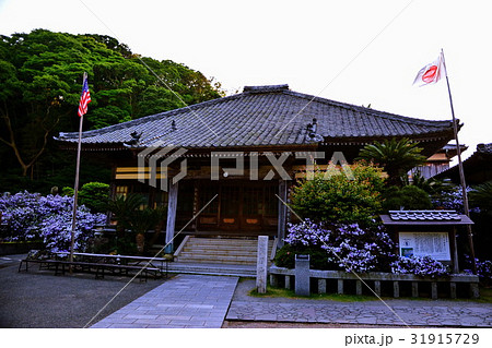 伊豆 了仙寺 本堂 & アメリカジャスミンの花 ( ジャスミン寺 ) 静岡県 下田市 七軒町 伊豆 了仙寺 本堂 & アメリカジャスミンの花 ( ジャスミン寺 ) 静岡県 下田市 七軒町 31915729