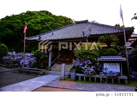 伊豆　了仙寺　本堂 ＆ アメリカジャスミンの花　（ ジャスミン寺 ）　静岡県 下田市 七軒町 31915731