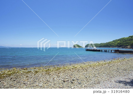 友ヶ島からの風景 友ヶ島からの風景 31916480