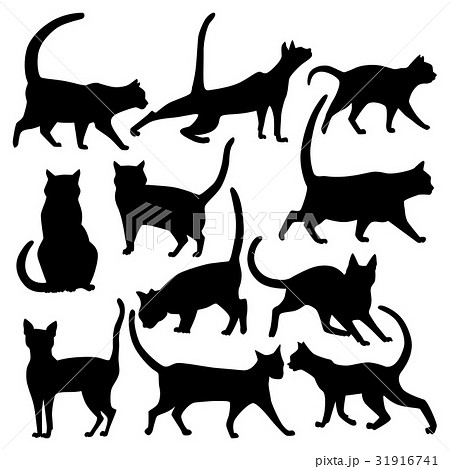 Vector Silhouettes Of Cats In Various Poses のイラスト素材