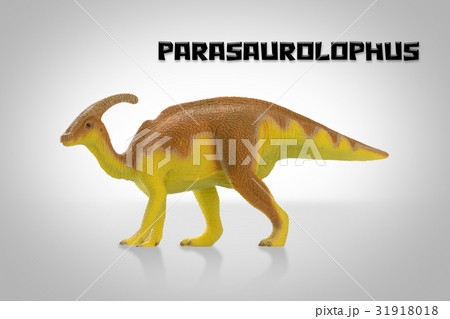Parasaurolophus Parasaurolophus 31918018