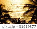 南国 31919377