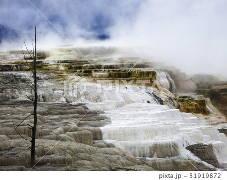 ワールド 世界 ザワールド 31919872