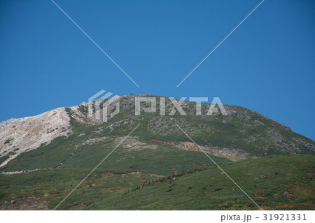 白山 白山 31921331