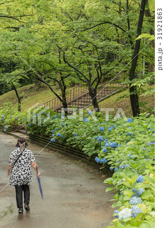寺ヶ池公園 31921863