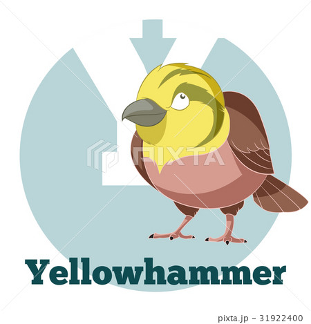 ABC Cartoon Yellowhammer ABC Cartoon Yellowhammer 31922400
