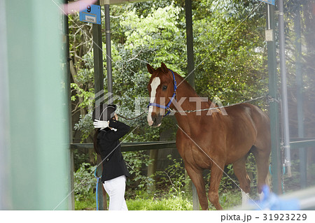 乗馬クラブ　馬と女性 31923229