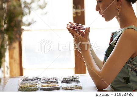 お茶を楽しむ女性 お茶を楽しむ女性 31923436