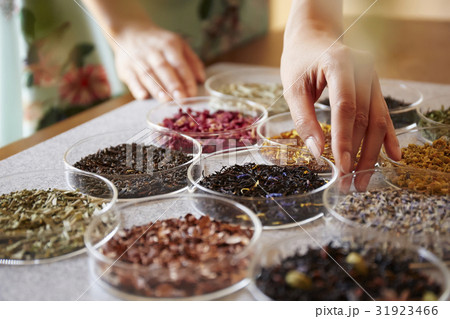 お茶を楽しむ女性 31923466