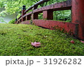 苔の生えた擬宝珠と紅葉 31926282