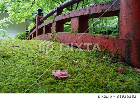 苔の生えた擬宝珠と紅葉 31926282