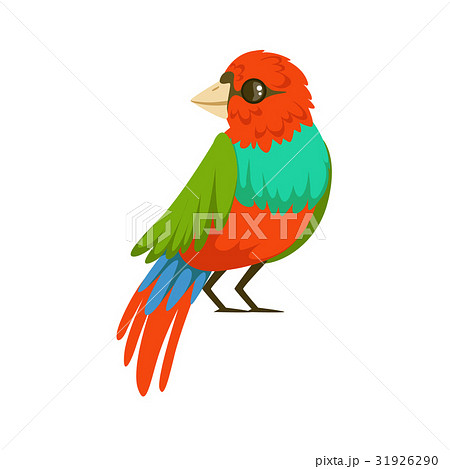 Colorful tropical bird vector Illustration Colorful tropical bird vector Illustration 31926290