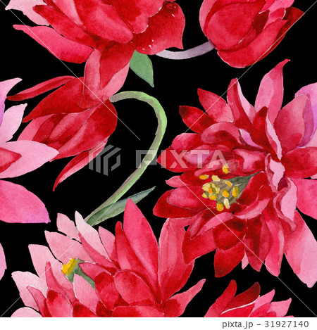 Wildflower Aquilegia flower in a watercolor style Wildflower Aquilegia flower in a watercolor style 31927140