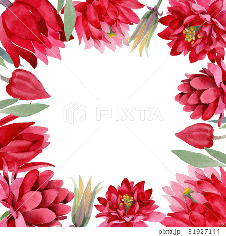 Wildflower Aquilegia flower in a watercolor style 31927144