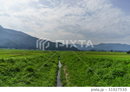 夏の六日町の田園風景 夏の六日町の田園風景 31927530