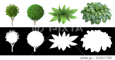 Set of plants with alpha channel 31927785