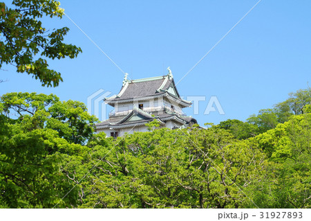 和歌山城の天守 和歌山城の天守 31927893