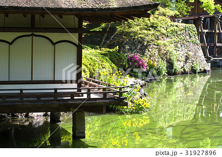 紅葉渓庭園の鳶魚閣 31927896