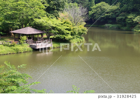 大分市　青少年の森の湖畔の風景 31928425