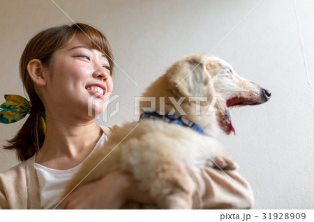 シニアの愛犬を抱く女性 31928909