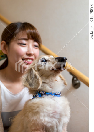 シニアの愛犬を抱く女性 31929858