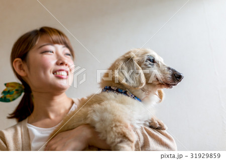 シニアの愛犬を抱く女性 31929859
