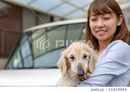 シニアの愛犬を抱く女性 31929994