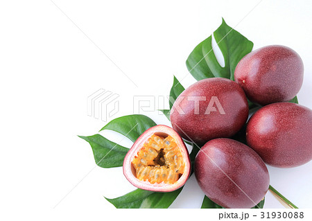 パッションフルーツ 31930088