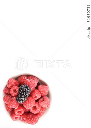 fresh blackberry and red raspberry fruits fresh blackberry and red raspberry fruits 31930731
