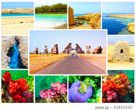The collage from images of Ras Muhammad National The collage from images of Ras Muhammad National 31933235