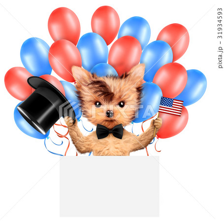 Funny dog holding USA flag. Concept of 4th of July 31934593