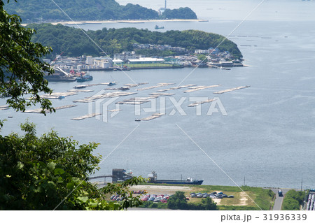 黄金山からの眺め 黄金山からの眺め 31936339