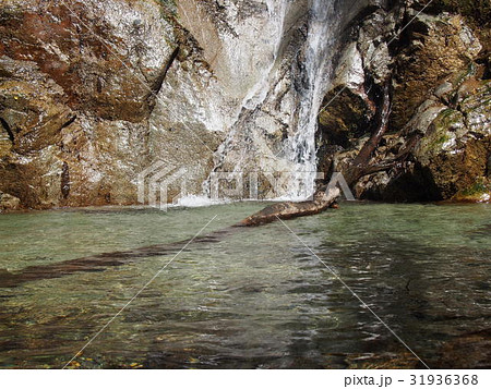 西丹沢　下棚 31936368