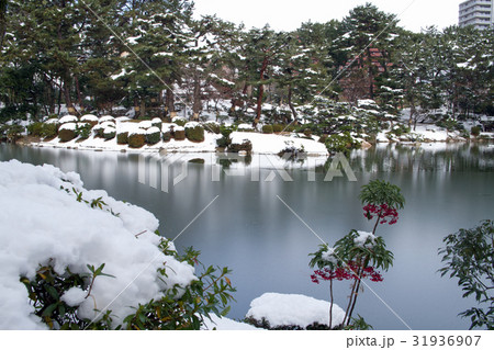 雪化粧の広島縮景園 31936907