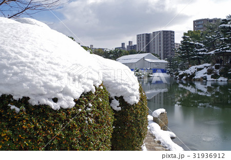 雪化粧の広島縮景園 31936912
