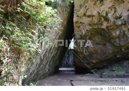 斎場御嶽 31937491