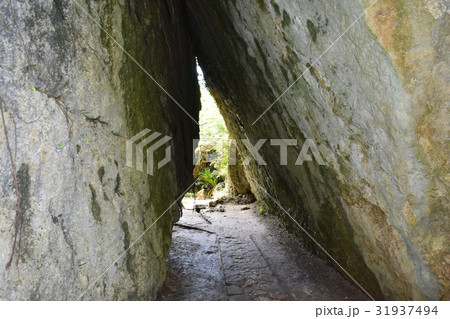 斎場御嶽 斎場御嶽 31937494