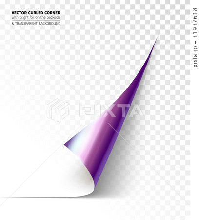 Vector realistic curled corner 31937618