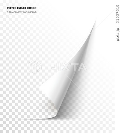 Vector realistic curled corner 31937619